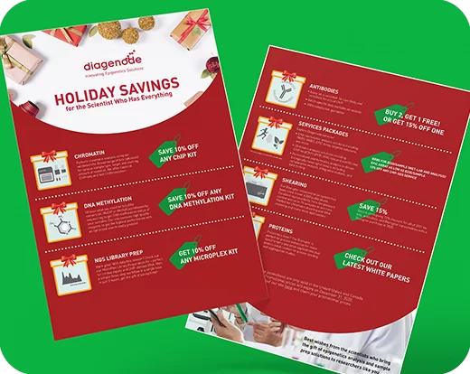 Flyer - Holiday Catalog Project 8253